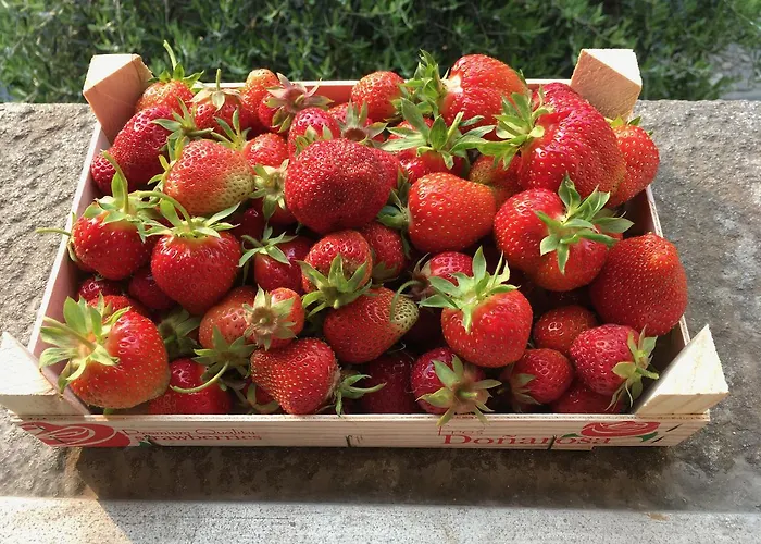 Antica Sosta Dei Viandanti 4*